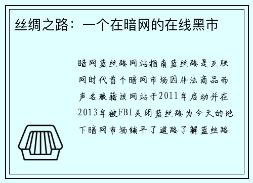 丝绸之路：一个在暗网的在线黑市